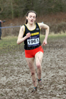 Womens under-17s 2018 British Inter Counties Cross Country Champs., Prestwold Hall, Loughborough. Photo: David T. Hewitson/Sports for All Pics